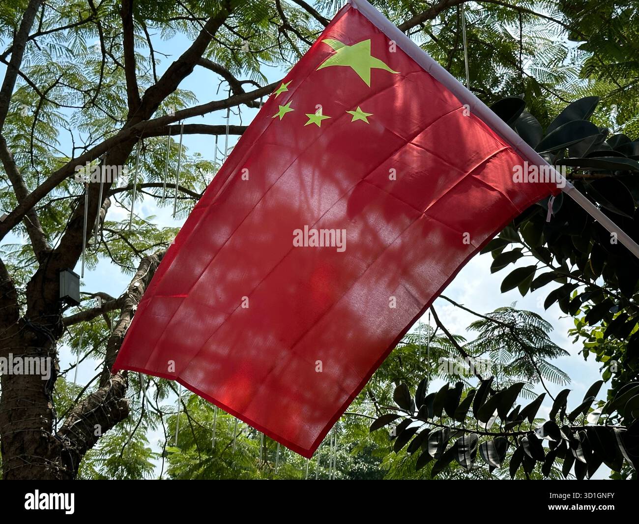 Bandiera cinese che sventola nel vento su uno sfondo di lussureggianti foglie verdi. Foto Stock