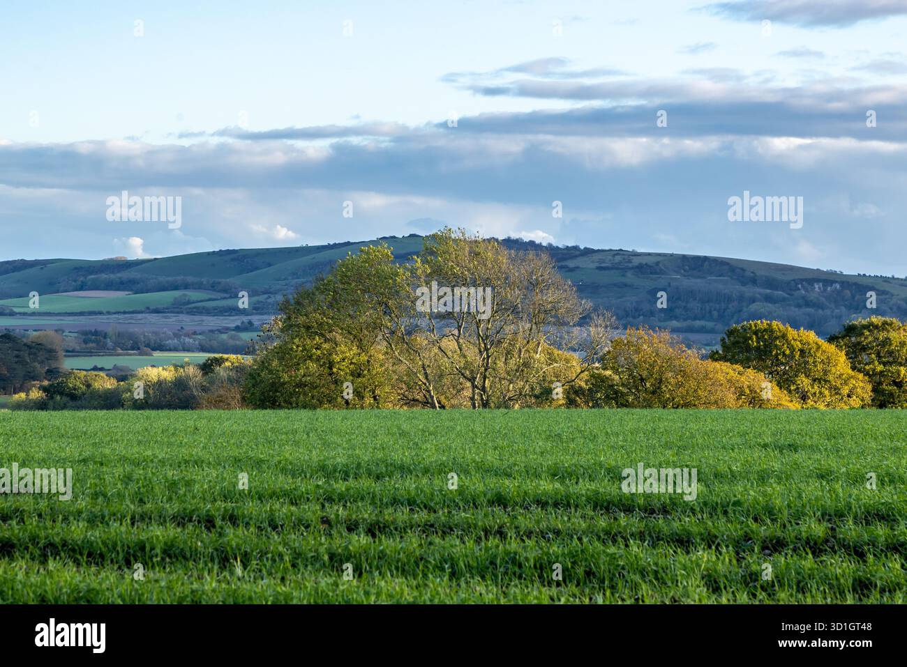 Vista sui terreni agricoli di Barcombe, nel Sussex, con foglie di colore autunnale sugli alberi Foto Stock