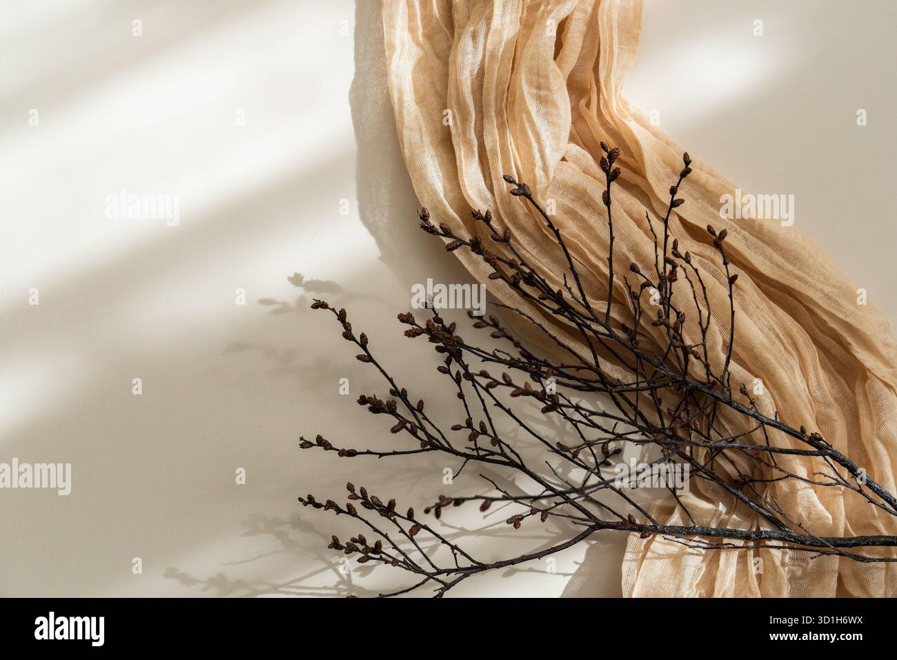 Ramoscelli asciutti e tessuto beige alla luce del sole, composizione calda e minimalista con ombre morbide Foto Stock