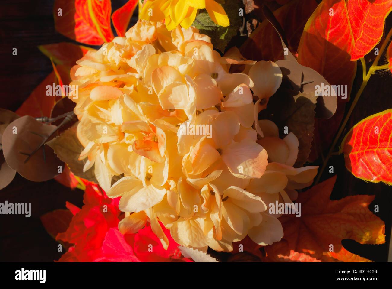 Primo piano di un'elegante composizione floreale autunnale con pesca e fiori gialli circondati da foglie dai toni caldi. La luce soffusa del sole mette in risalto l'intimità, Foto Stock