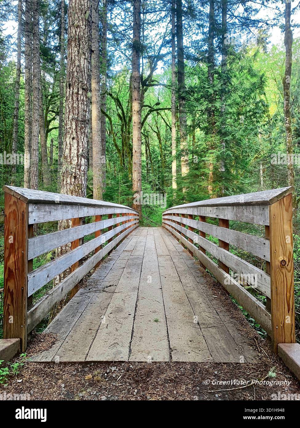 Ponte di Big Creek Foto Stock