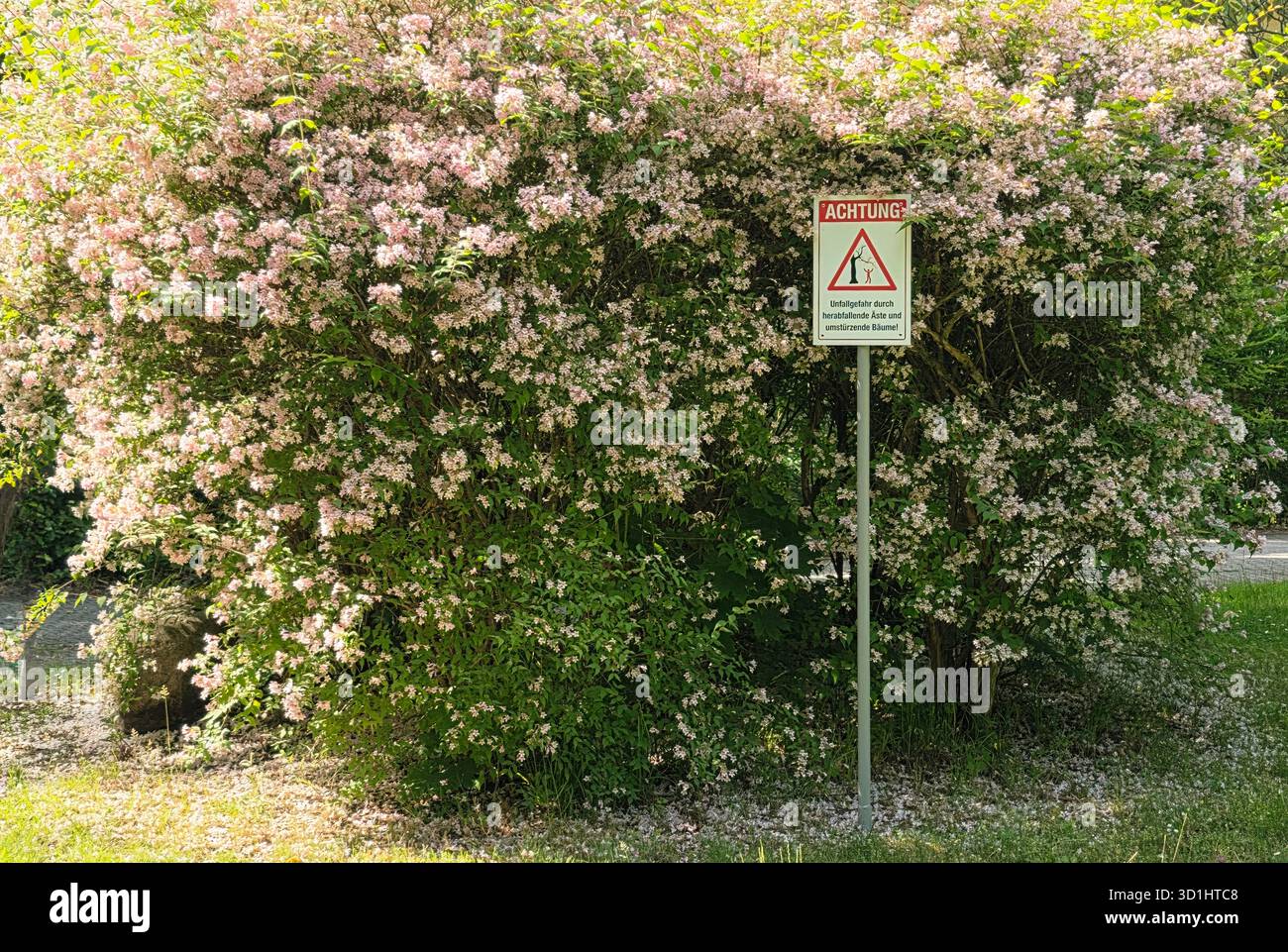 Belin, Germania - 30 maggio 2025: Cespuglio fiorito con un cartello segnaletico sorge in un parco soleggiato circondato da una vegetazione lussureggiante. Ospedale - Immagine stock catturata con smartphone
