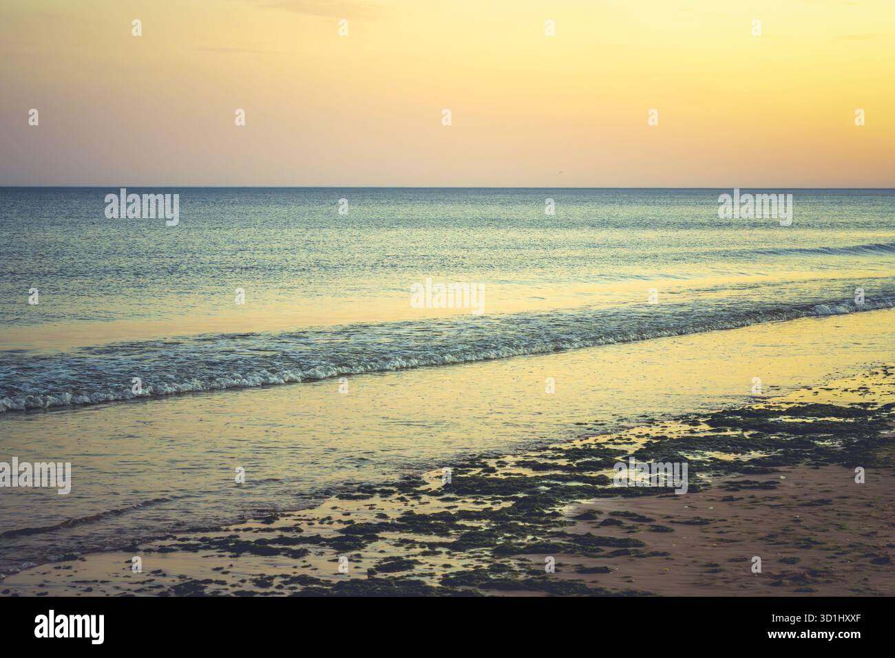 Le onde dolci raggiungono una spiaggia coperta di muschio sotto i caldi toni del tramonto giallo e viola. Foto Stock