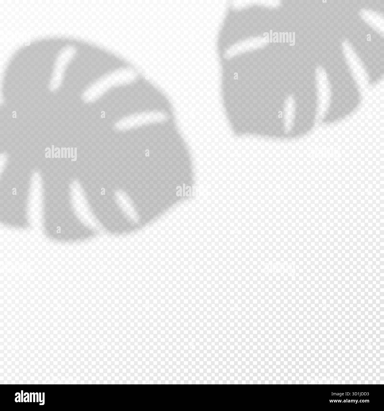 sfondo trasparente con foglie di palma tropicali sovrapposte alle ombre. Biglietto da visita verticale o modello di invito al matrimonio. Modello opuscolo, scheda, poster Illustrazione Vettoriale