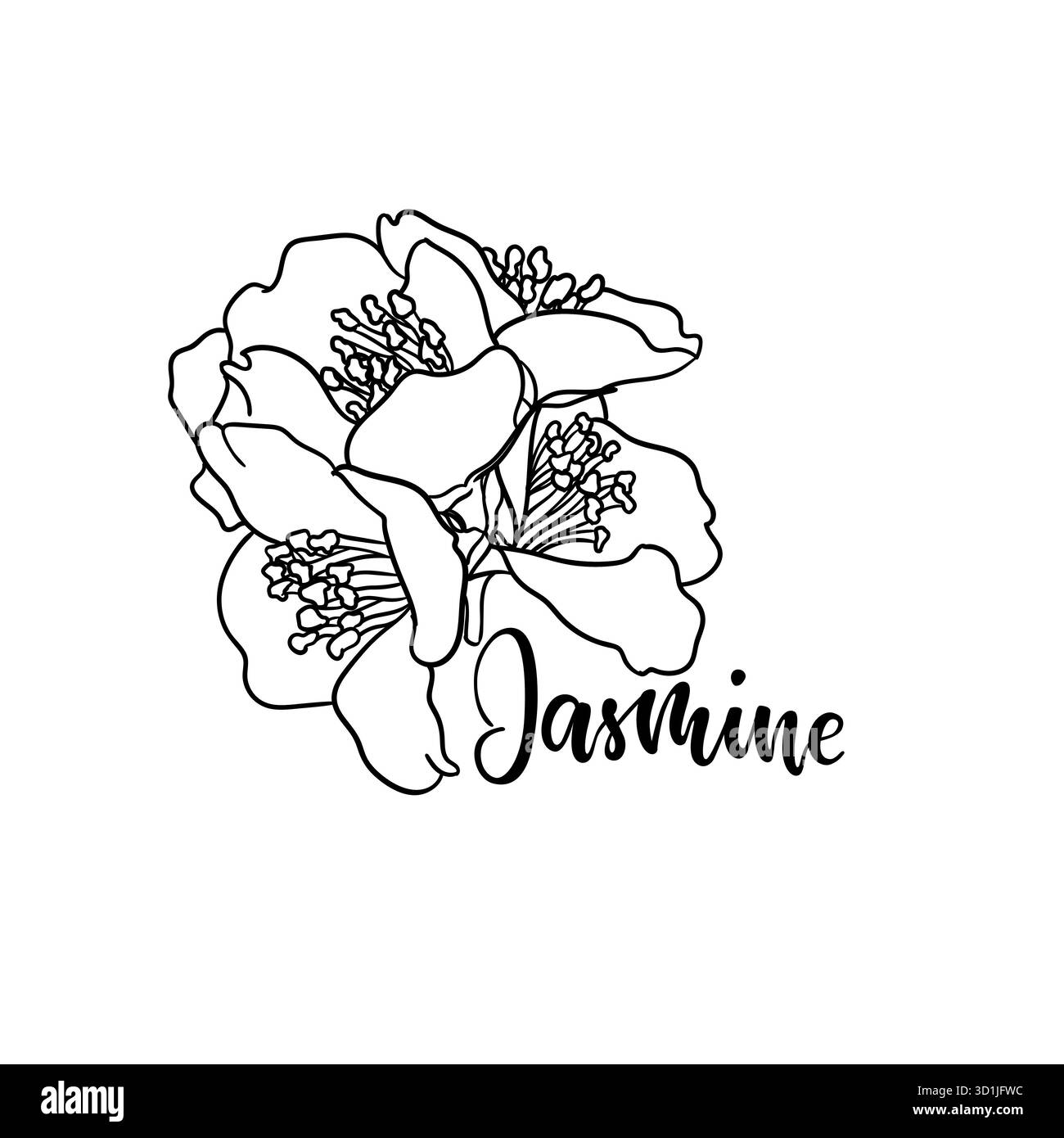 profilo di gelsomino con fiori di ramoscello bianco e nero isolato sullo sfondo. Disegnare a mano la linea di contorno e tracciare i fiori di ramificazione. Elemento di design per il saluto Illustrazione Vettoriale