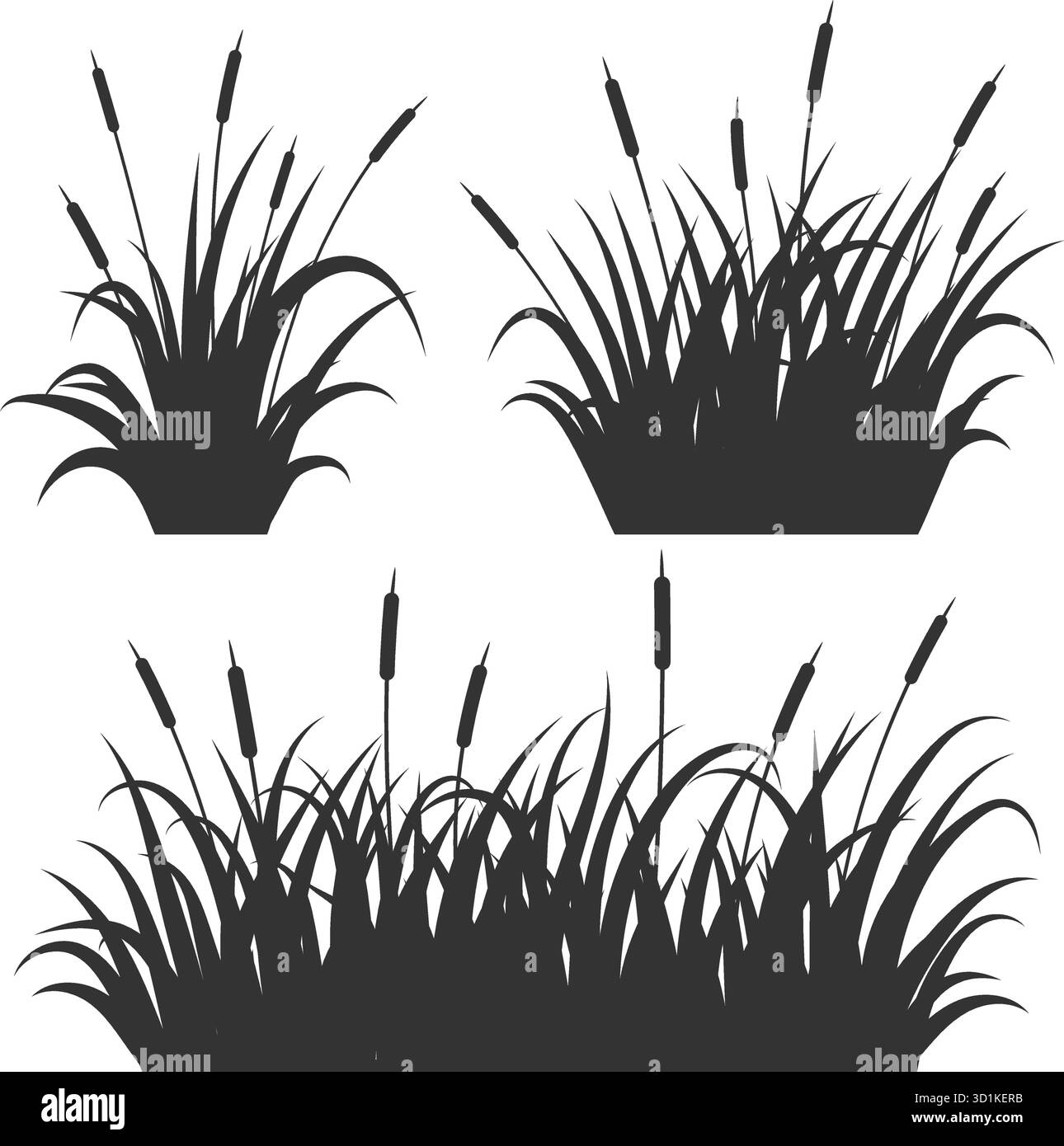 Illustrazioni vettoriali di canne in erba isolate su sfondo bianco. Silhouette alte e voluminose su paludi e laghi. Arbusti selvatici sulle rive del fiume. Estate costiera Illustrazione Vettoriale