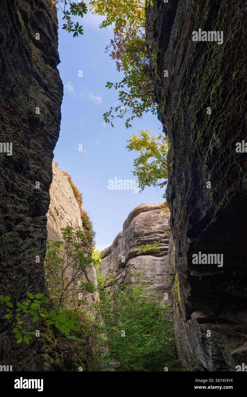 Il Rock City Park di Olean, New York, offre enormi formazioni rocciose, sentieri nella foresta e ampie vedute delle Enchanted Mountains Foto Stock