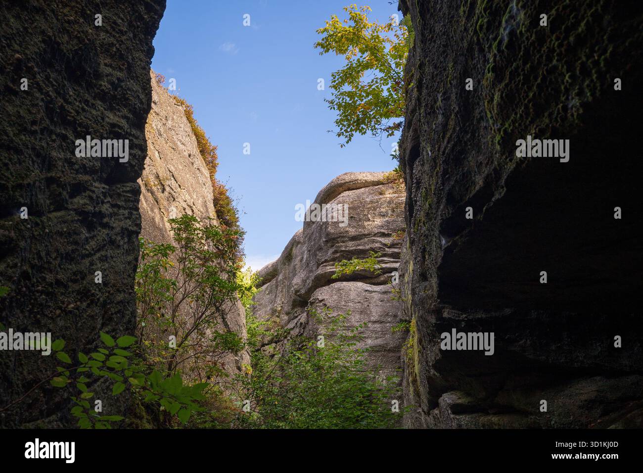 Il Rock City Park di Olean, New York, offre enormi formazioni rocciose, sentieri nella foresta e ampie vedute delle Enchanted Mountains Foto Stock