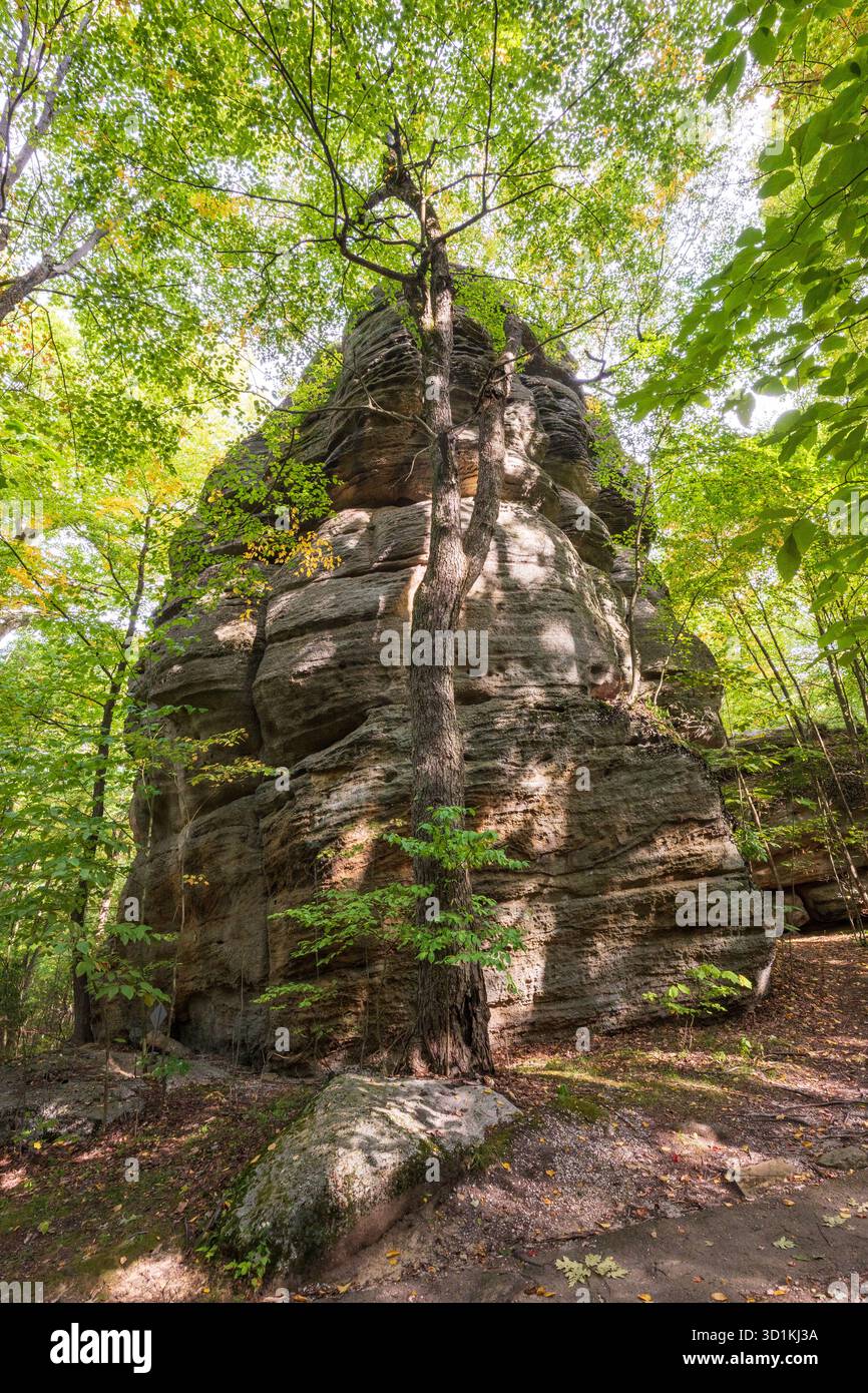 Il Rock City Park di Olean, New York, offre enormi formazioni rocciose, sentieri nella foresta e ampie vedute delle Enchanted Mountains Foto Stock
