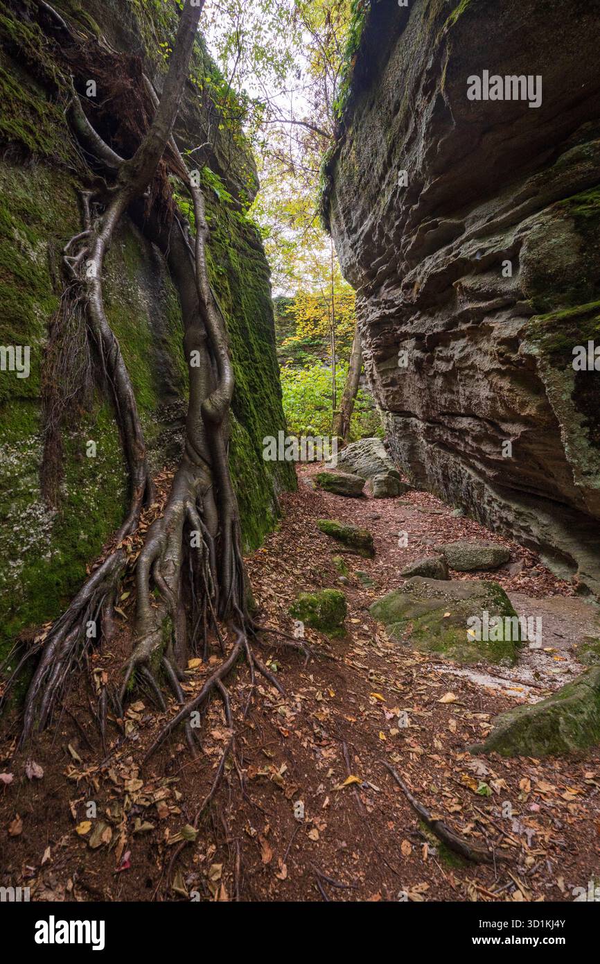 Il Rock City Park di Olean, New York, offre enormi formazioni rocciose, sentieri nella foresta e ampie vedute delle Enchanted Mountains Foto Stock
