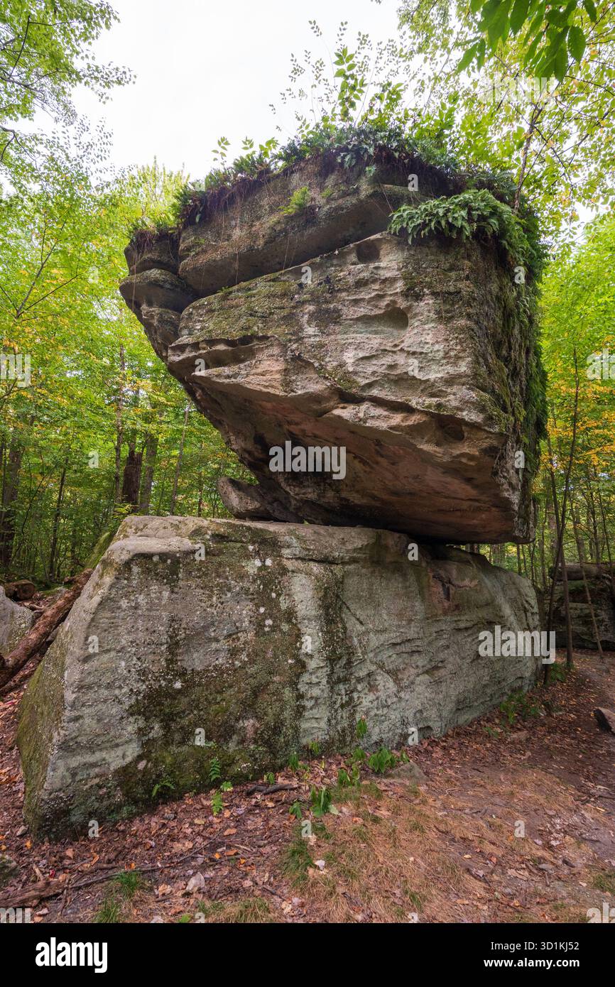 Il Rock City Park di Olean, New York, offre enormi formazioni rocciose, sentieri nella foresta e ampie vedute delle Enchanted Mountains Foto Stock