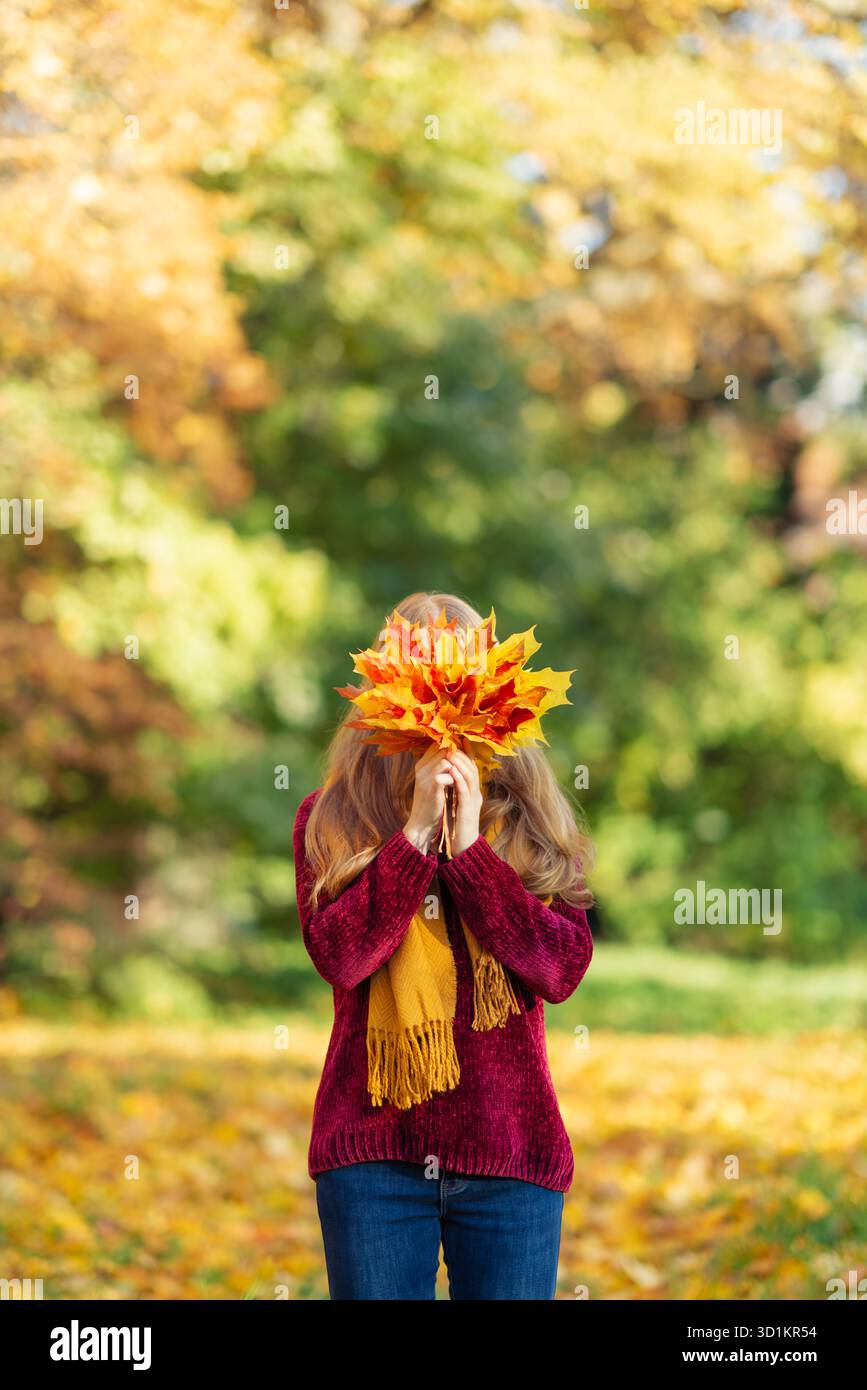 Una donna con un maglione Borgogna regala un bouquet di foglie d'acero in un parco autunnale. E' un giorno d'autunno soleggiato Foto Stock