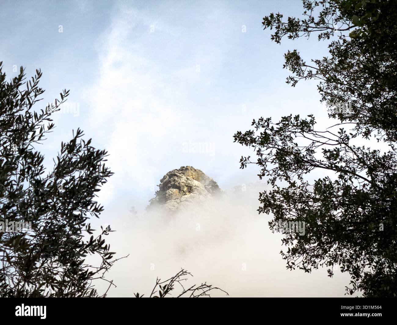 Picco di montagna incorniciato da alberi che emergono attraverso la bassa nebbia mattutina Foto Stock