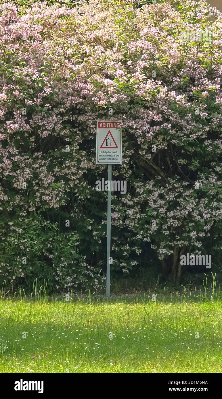 Belin, Germania - 30 maggio 2025: Un cartello segnaletico si trova di fronte a vivaci cespugli lilla in un parco soleggiato. Ospedale - Immagine stock catturata con smartphone