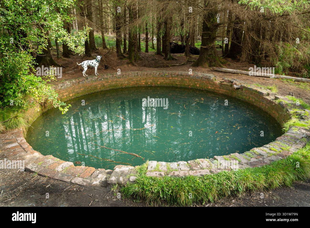 La Torwood Blue Pool è una misteriosa struttura in mattoni di forma circolare artificiale con acqua blu, 20 piedi di diametro e oltre 15 piedi di profondità, con un tunnel in mattoni Foto Stock