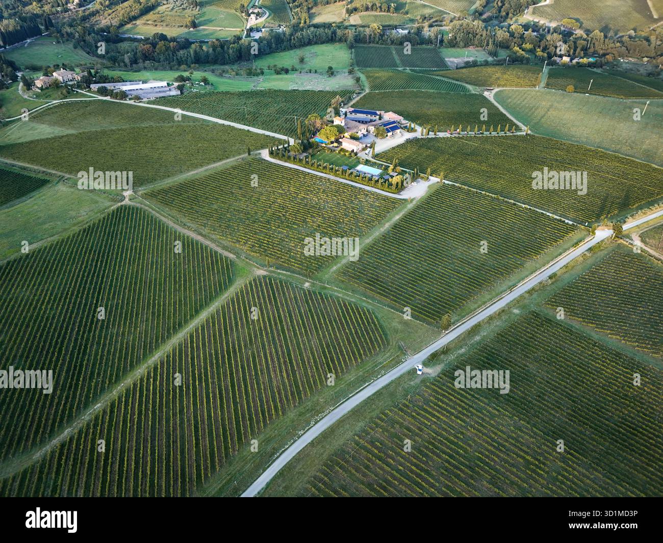 Vista aerea dei vigneti geometrici che si estendono verso una villa centrale, un arazzo di verdi e marroni sotto il sole toscano, Greve in Chianti, Toscana Foto Stock