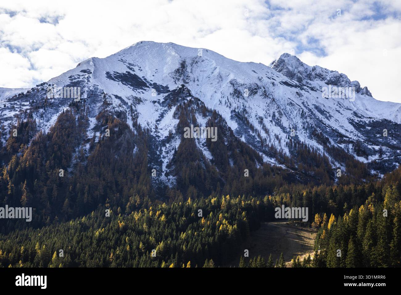 Neve sulle cime delle montagne, foglie autunnali, Eisenerzer Reichenstein, Eisenerzer Alps, vicino a Vordernberg, Stiria, Austria Foto Stock