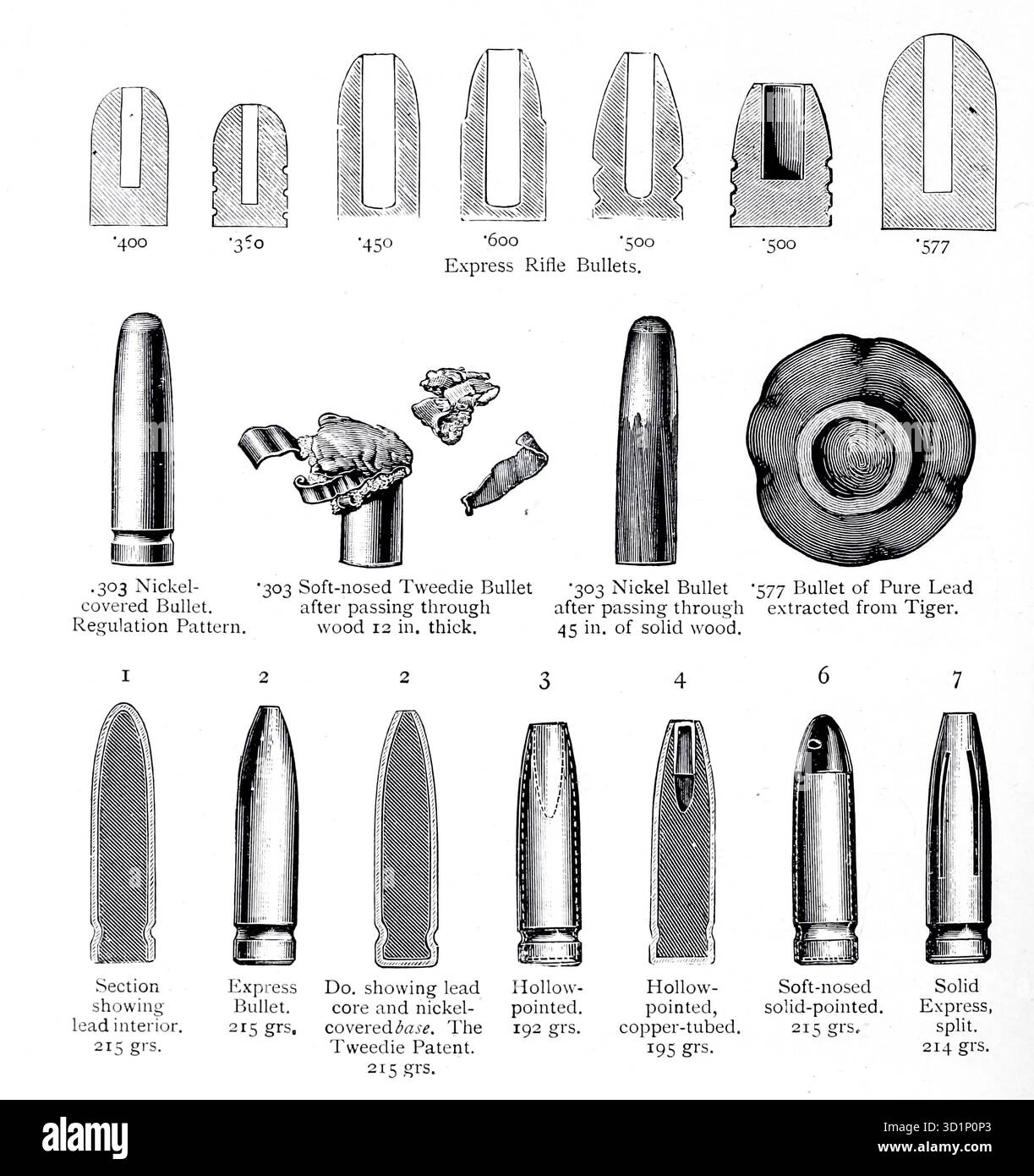 Proiettili per fucili Express. Da ' The gun and its Development' di Greener, W. W. (William Wellington) data di pubblicazione 1897 Foto Stock