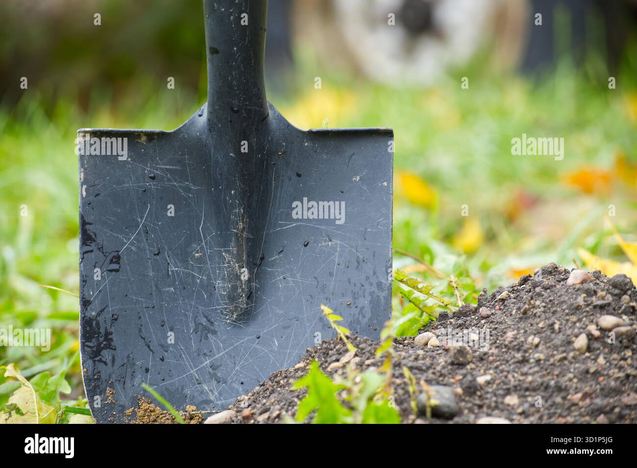 Una pala robusta poggia sul terreno mentre la terra fresca viene spostata in un giardino. Perfetto per lavori all'aperto, scavo, giardinaggio o progetti di architettura paesaggistica, catturando attrezzi pratici in uso. Foto Stock