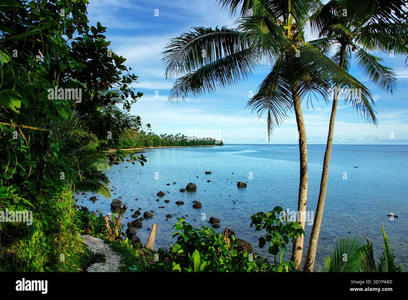 Vista sull'oceano lungo Lavena Costal Walk sull'isola di Taveuni, Figi Foto Stock