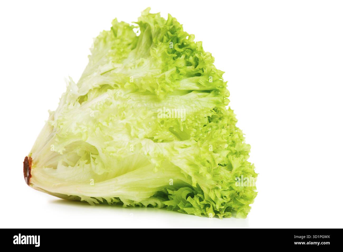 La lattuga isolato su uno sfondo bianco Foto Stock