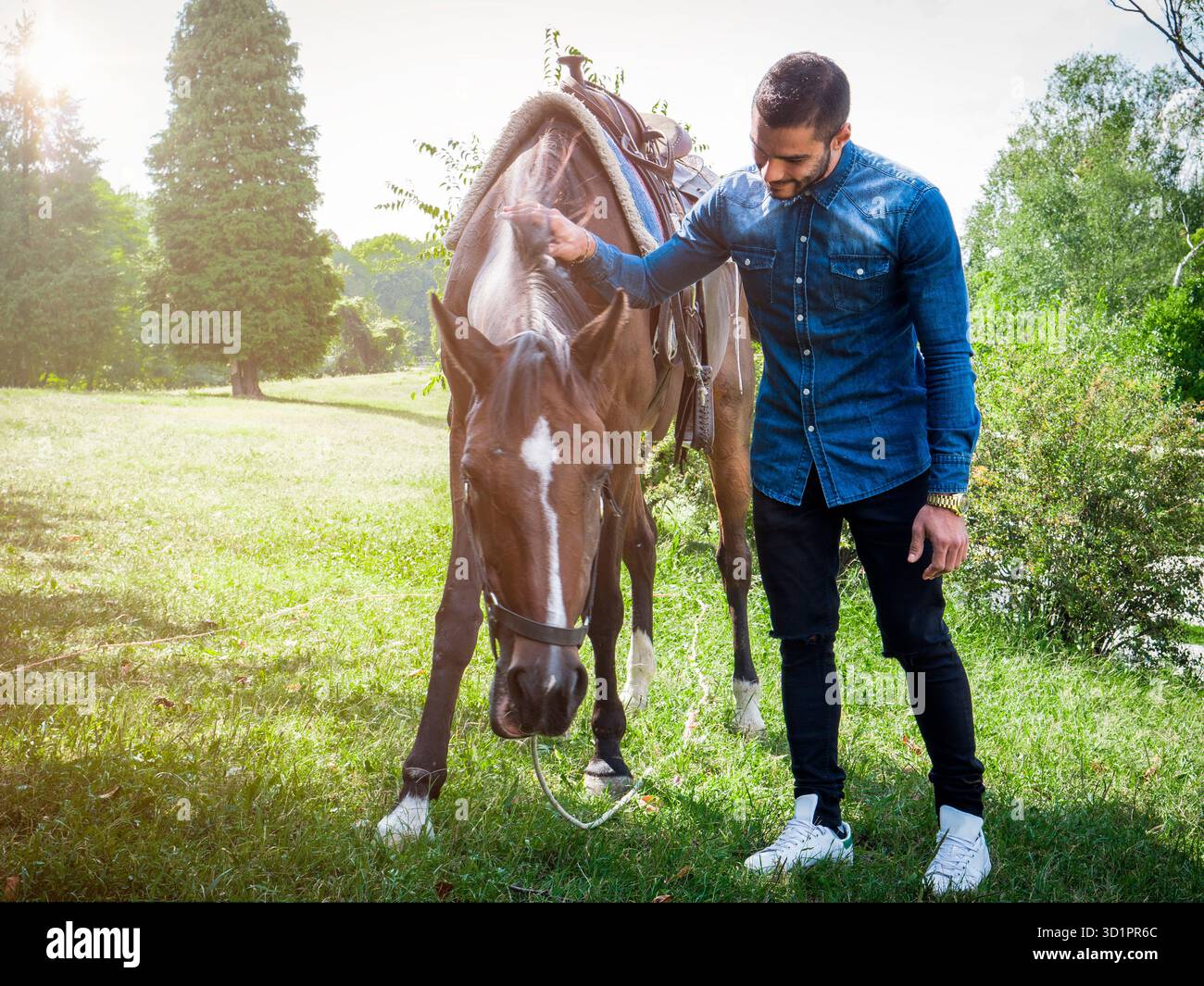 Uomo con cavallo sulla natura Foto Stock
