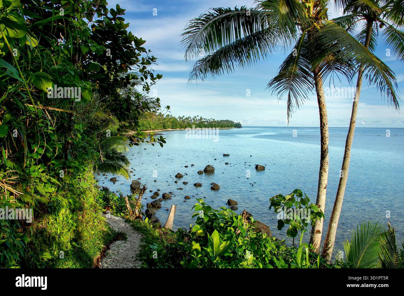 Vista sull'oceano lungo Lavena Costal Walk sull'isola di Taveuni, Figi Foto Stock