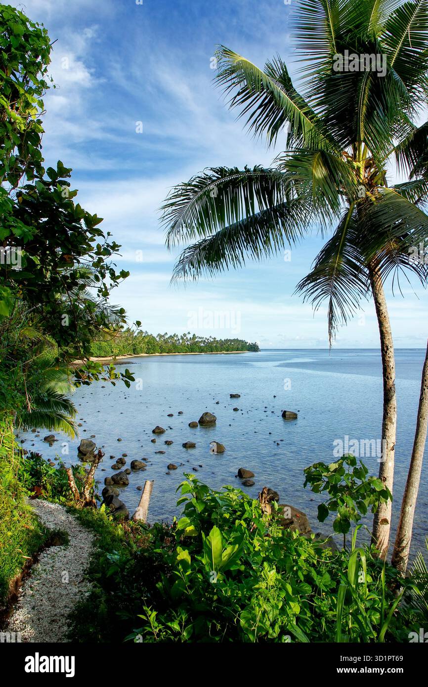 Vista sull'oceano lungo Lavena Costal Walk sull'isola di Taveuni, Figi Foto Stock