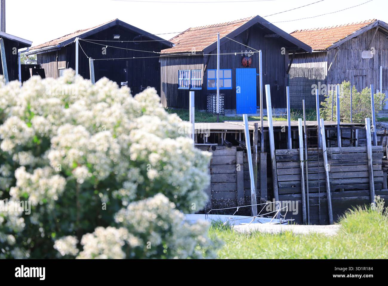 Porto delle ostriche del bacino di Arcachon a Gujan-Mestras. Capanne degli allevatori di ostriche. Francia. Foto Stock