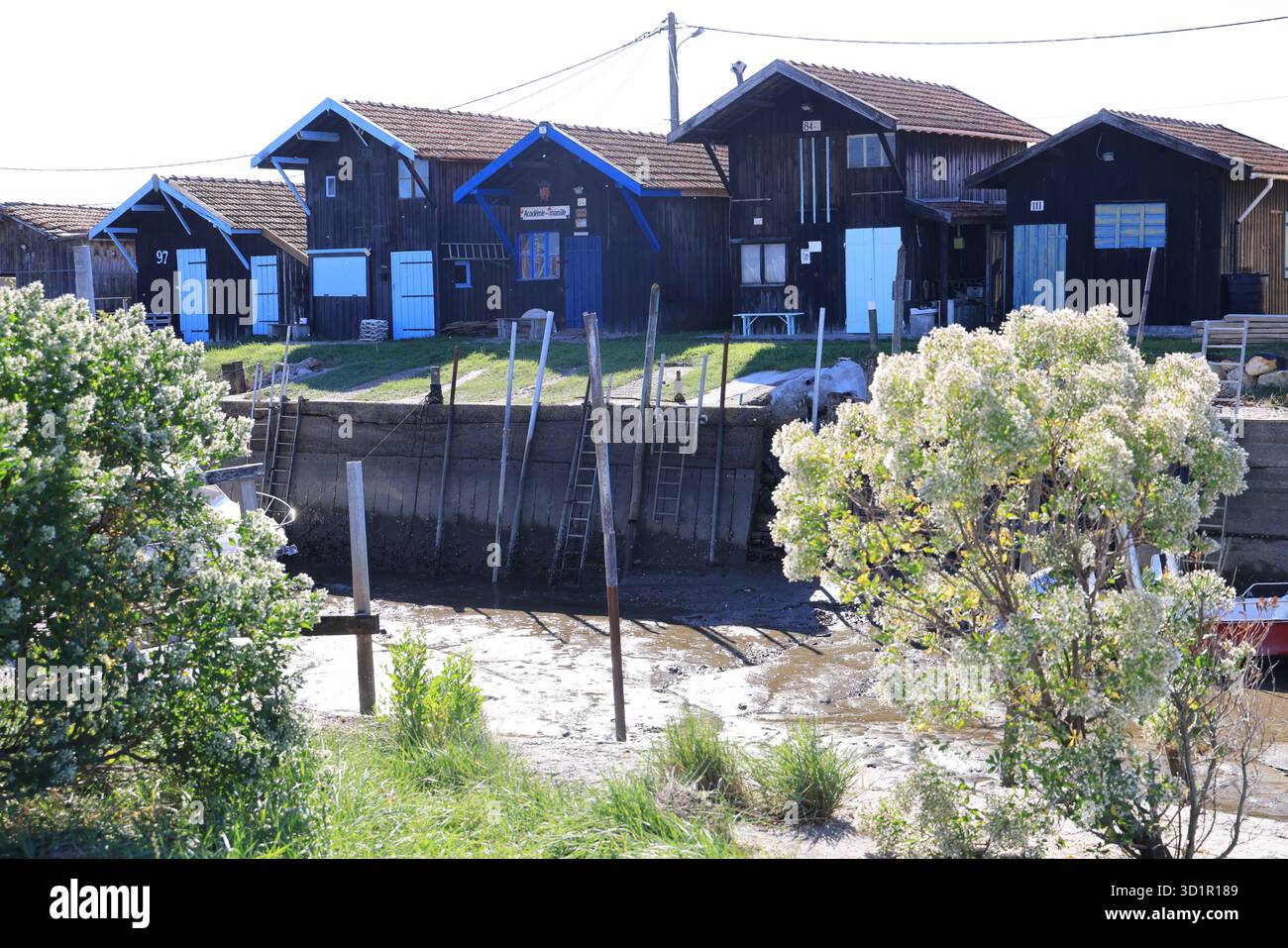 Porto delle ostriche del bacino di Arcachon a Gujan-Mestras. Capanne degli allevatori di ostriche. Francia. Foto Stock