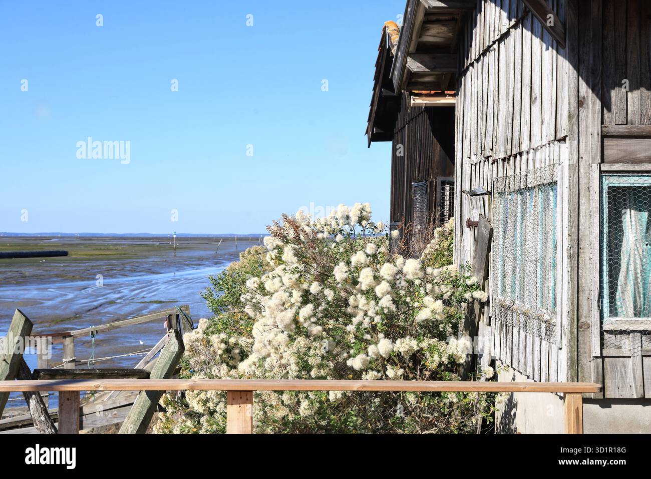 Porto delle ostriche del bacino di Arcachon a Gujan-Mestras. Capanne degli allevatori di ostriche. Francia. Foto Stock