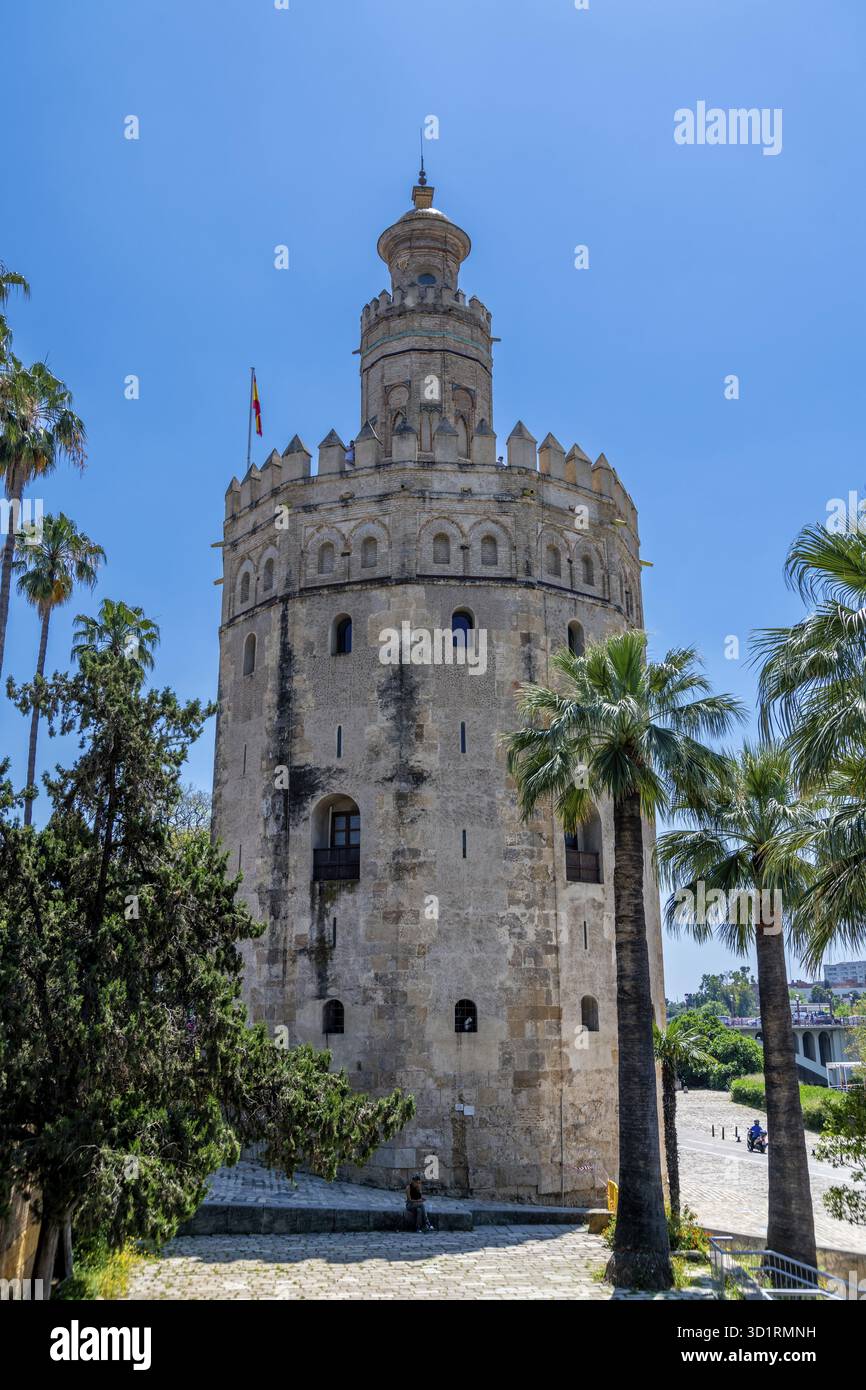 Siviglia, Siviglia - Spagna â€“ 04-19-2024: Torre del Oro, un'iconica torre di guardia militare sul fiume, circondata da palme e un cielo azzurro Foto Stock
