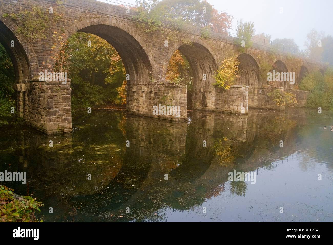 Il viadotto di Tottington che attraversa l'Island Lodge sul sentiero Kirklees. Luce e nebbia Golden Morning. Foto Stock