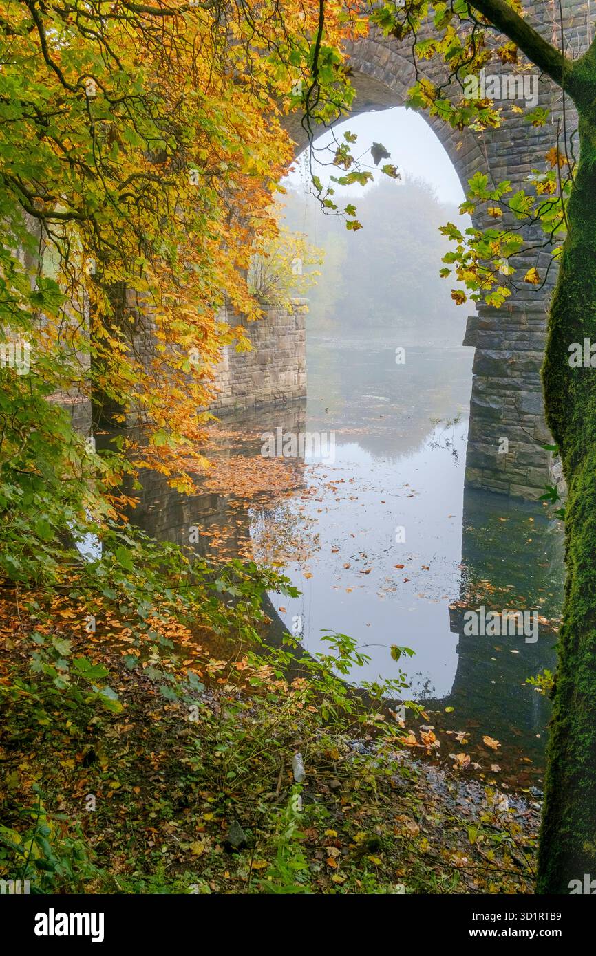 Il viadotto di Tottington che attraversa l'Island Lodge sul sentiero Kirklees. Luce e nebbia Golden Morning. Foto Stock