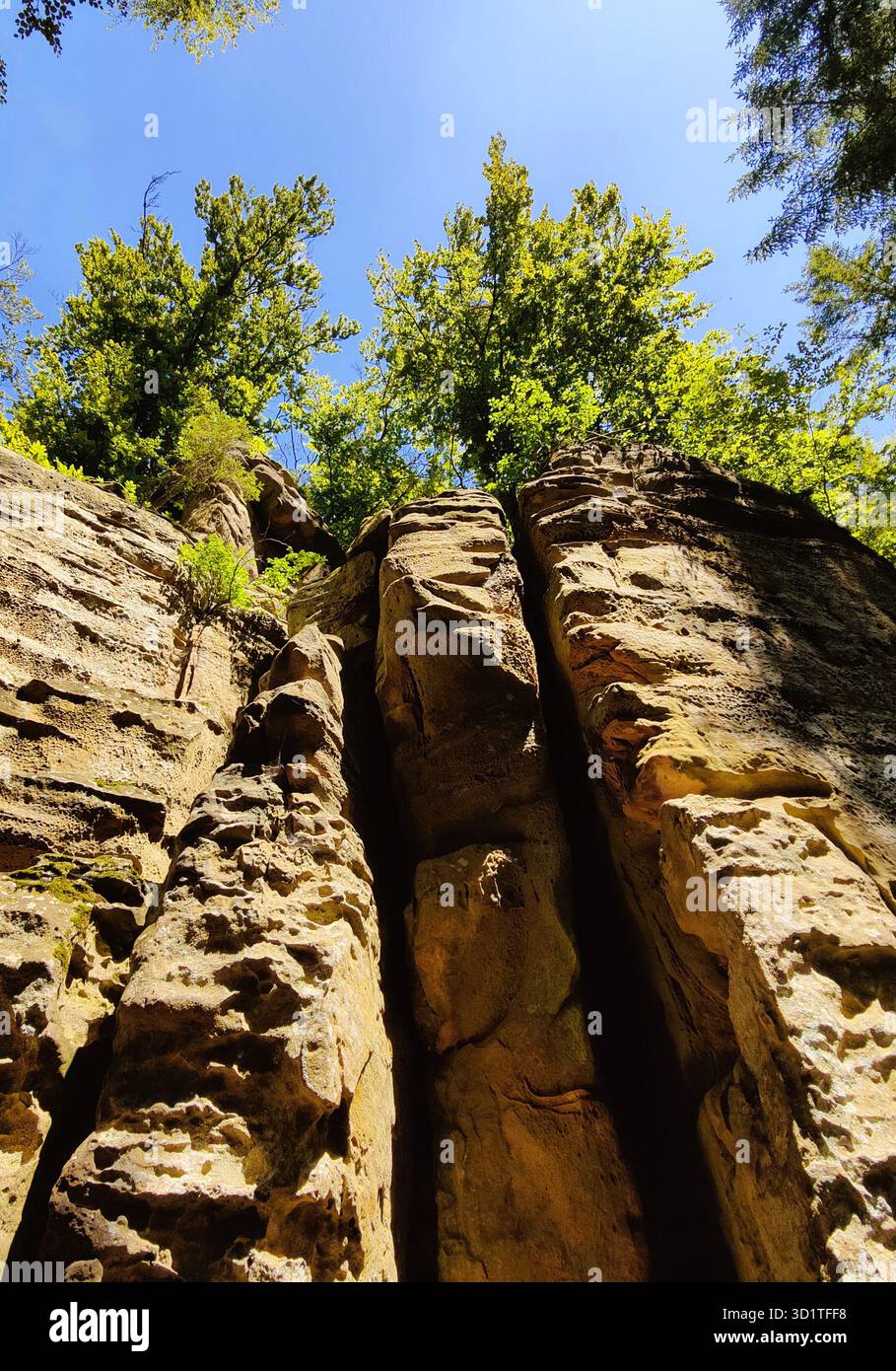 Sentiero escursionistico Devils Eight, Devils Canyon, Parco naturale Suedeifel, Irrel, Eifel, Germania, Europa Foto Stock