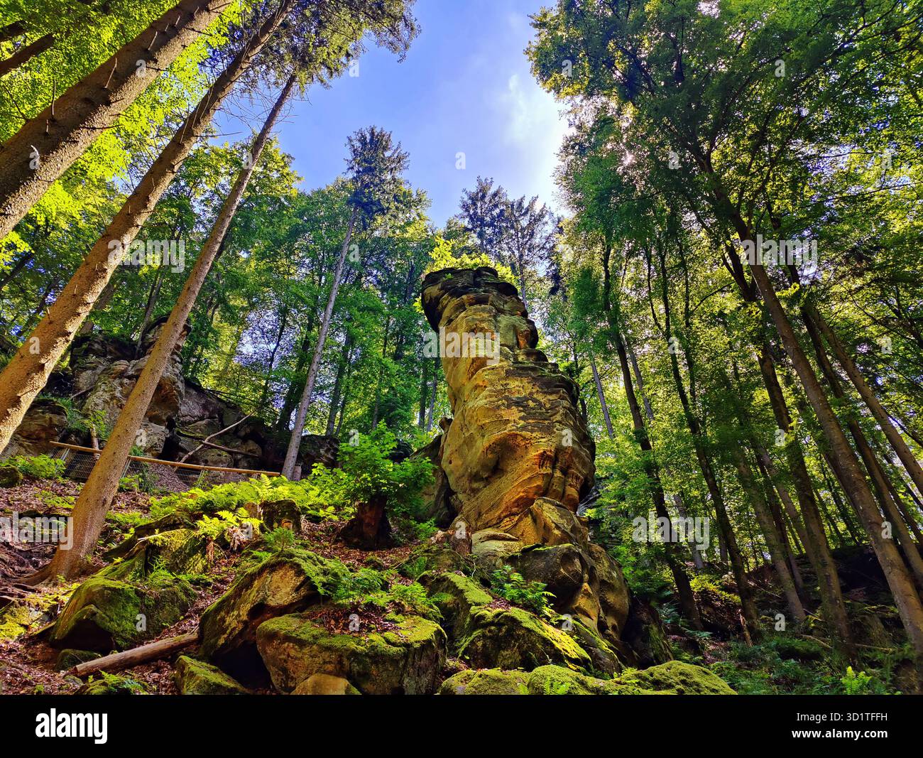 Sentiero escursionistico Devils Eight, Devils Canyon, Parco naturale Suedeifel, Irrel, Eifel, Germania, Europa Foto Stock