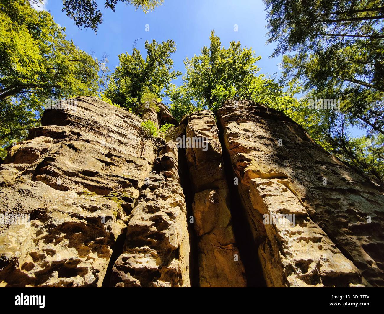 Sentiero escursionistico Devils Eight, Devils Canyon, Parco naturale Suedeifel, Irrel, Eifel, Germania, Europa Foto Stock