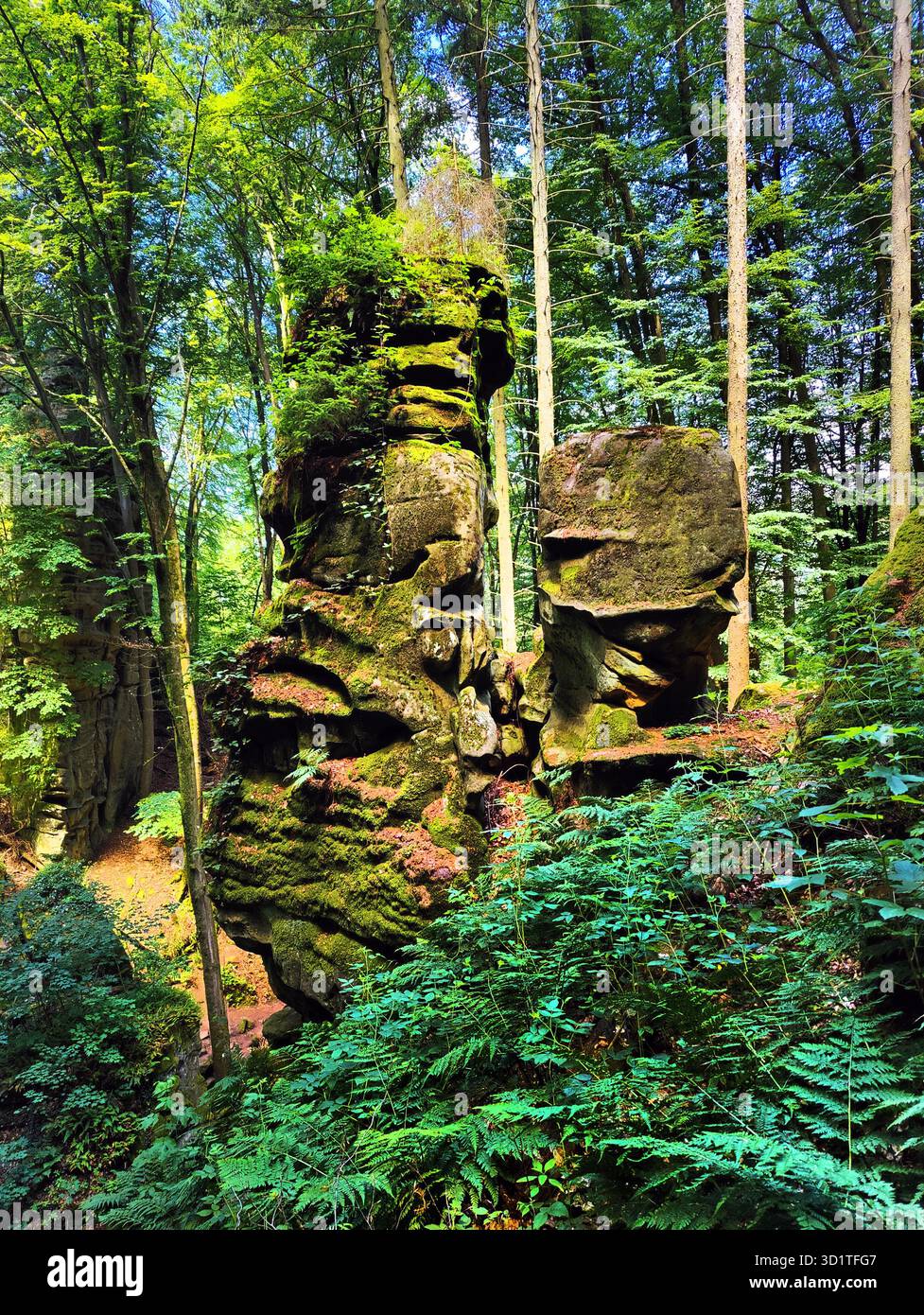 Sentiero escursionistico Devils Eight, Devils Canyon, Parco naturale Suedeifel, Irrel, Eifel, Germania, Europa Foto Stock