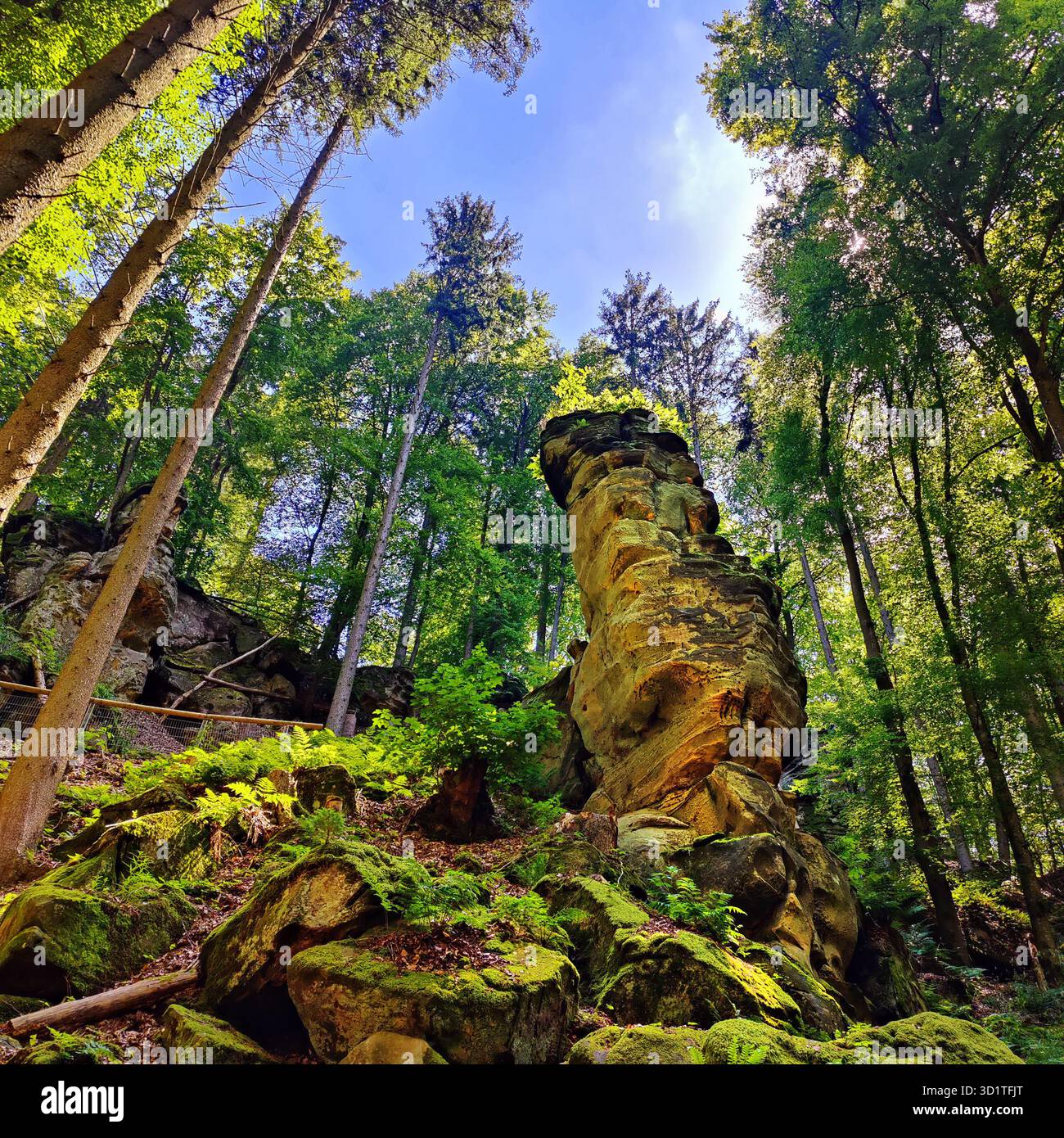 Sentiero escursionistico Devils Eight, Devils Canyon, Parco naturale Suedeifel, Irrel, Eifel, Germania, Europa Foto Stock