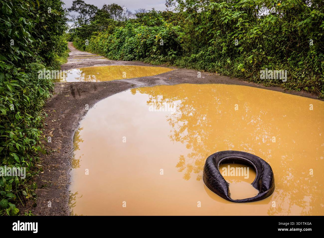 Difficile da percorrere strada di campagna nella regione della foresta pluviale del Guatemala Foto Stock