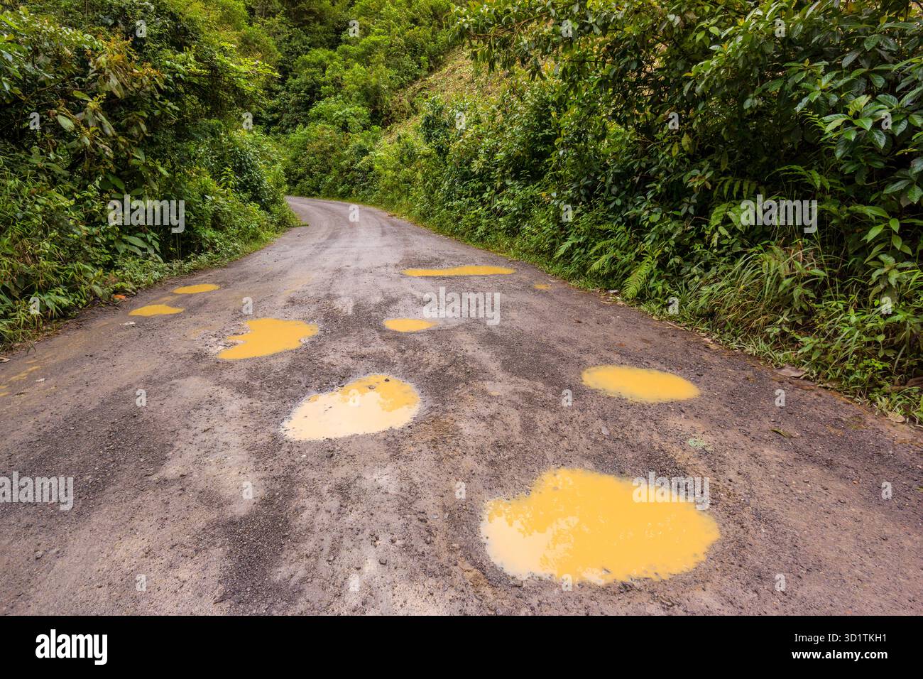 Difficile da percorrere strada di campagna nella regione della foresta pluviale del Guatemala Foto Stock