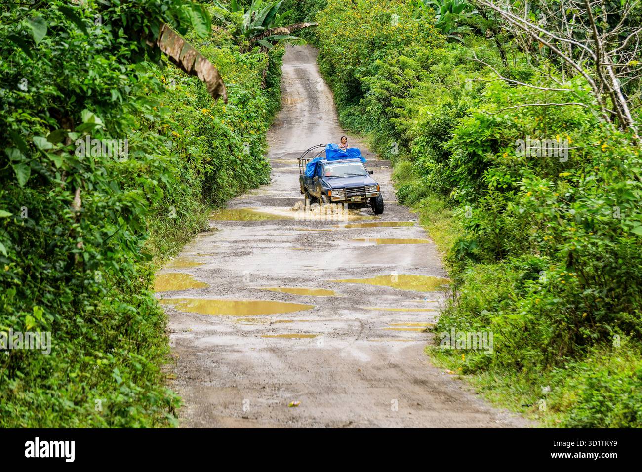 Difficile da percorrere strada di campagna nella regione della foresta pluviale del Guatemala Foto Stock