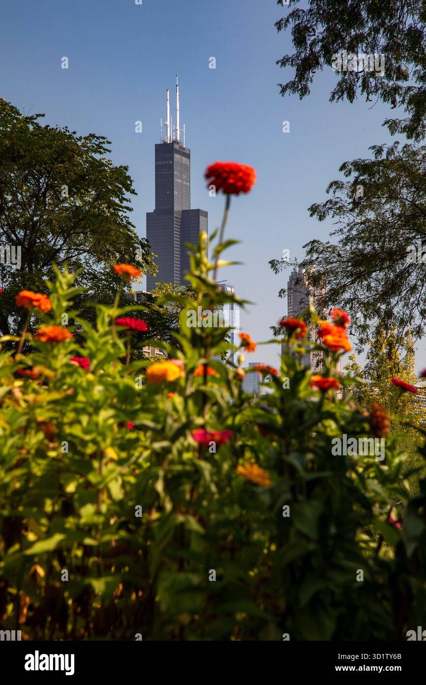 Chicago, Illinois - la Willis Tower (originariamente Sears Tower), l'edificio più alto di Chicago, fotografata dalla Taylor Street Farms, una comunità Foto Stock