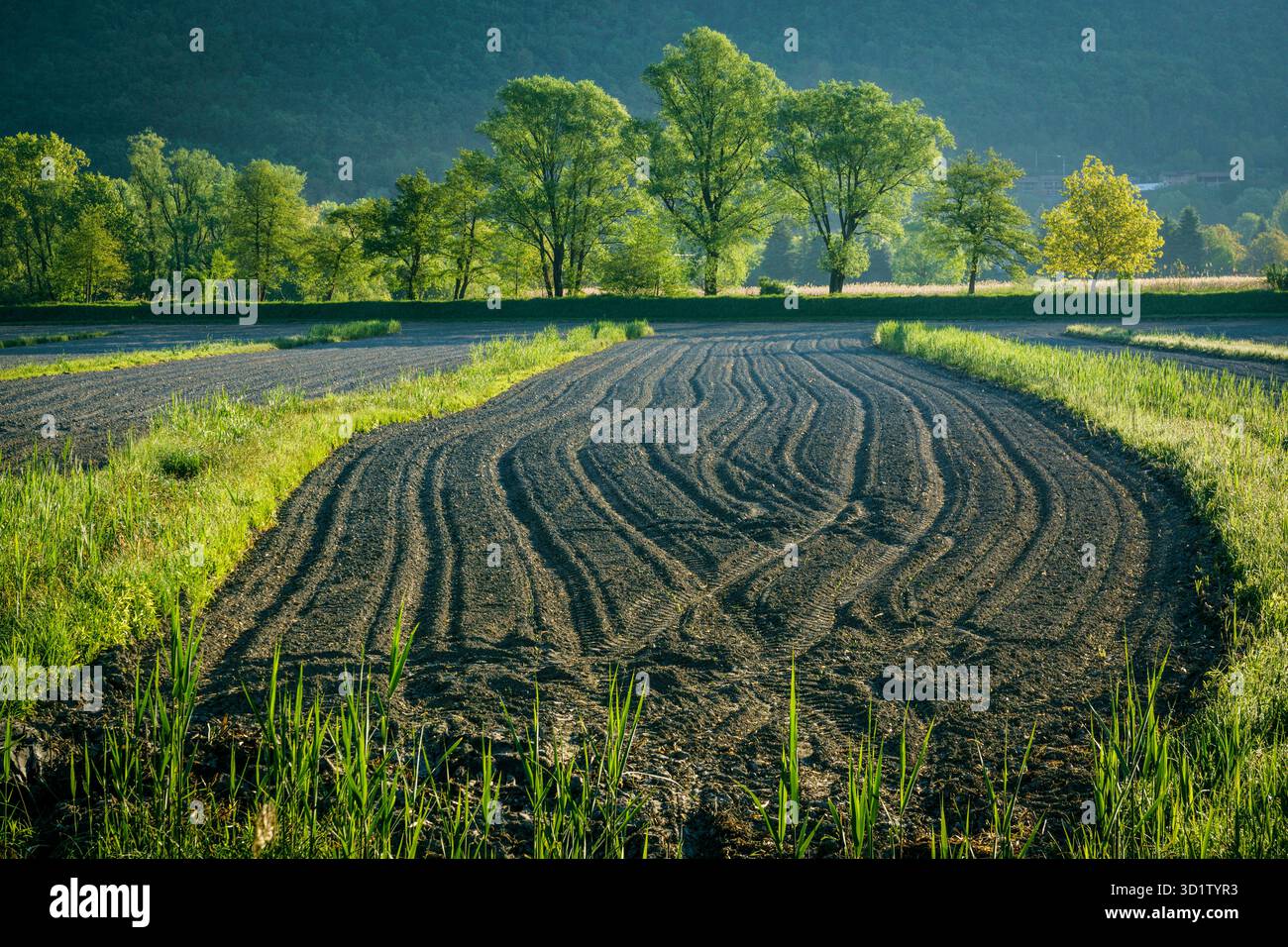 Campo di lavoro Foto Stock