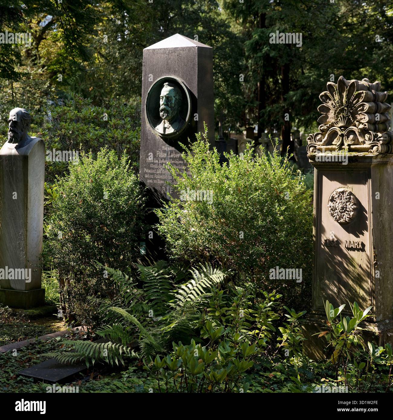 Antiche tombe immerse nel verde, Old Cemetery, Bonn, Renania settentrionale-Vestfalia, Germania, Europa Foto Stock