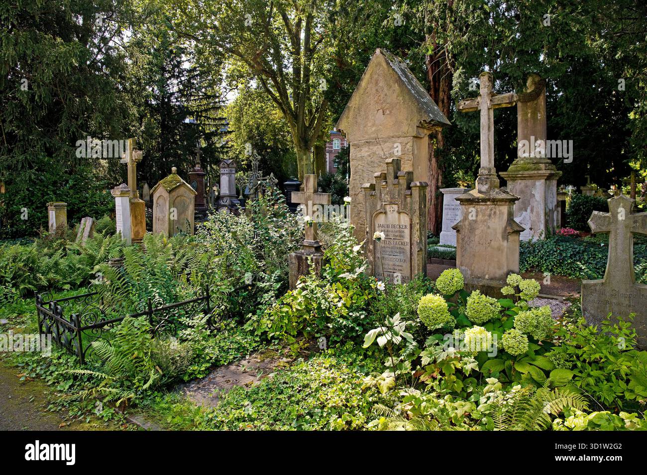 Antiche tombe immerse nel verde, Old Cemetery, Bonn, Renania settentrionale-Vestfalia, Germania, Europa Foto Stock