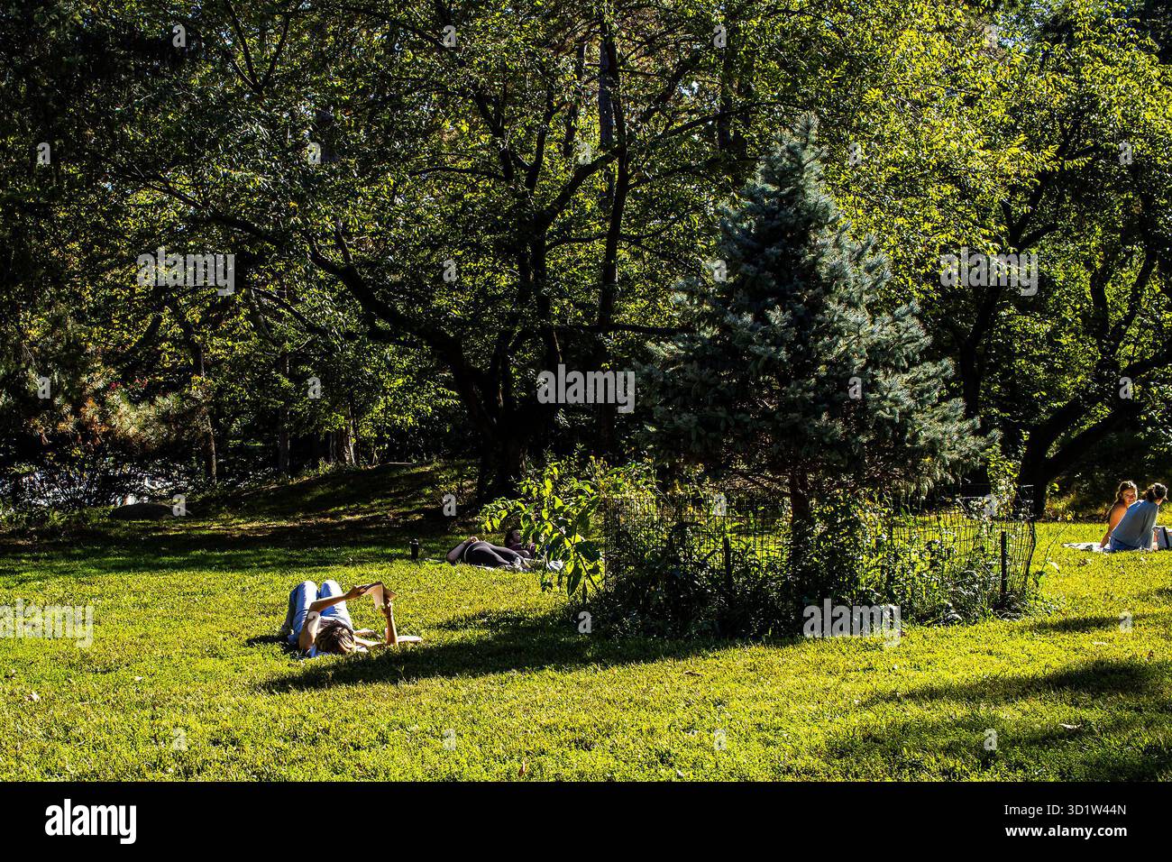 Una donna sdraiata sulla schiena, che legge al sole e si rilassa su un prato erboso in un weekend di sole a Central Park, Manhattan, New York City. Foto Stock