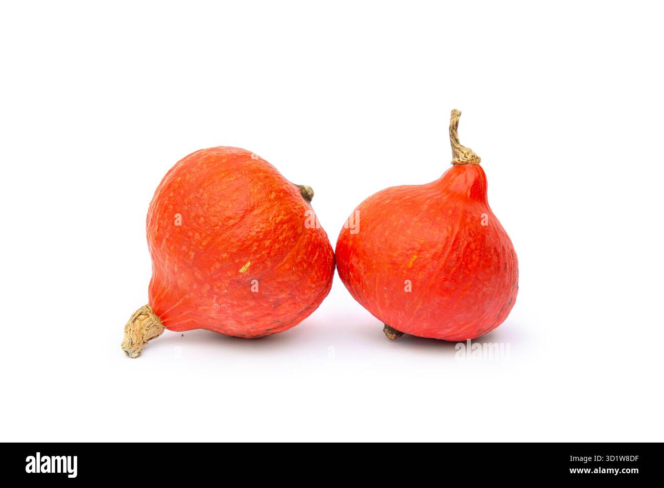 Foto in studio di due zucche di Hokkaido di colore arancione fresche isolate su uno sfondo bianco pulito. Ideale per l'autunno, il raccolto, il Ringraziamento o per cibi sani Foto Stock