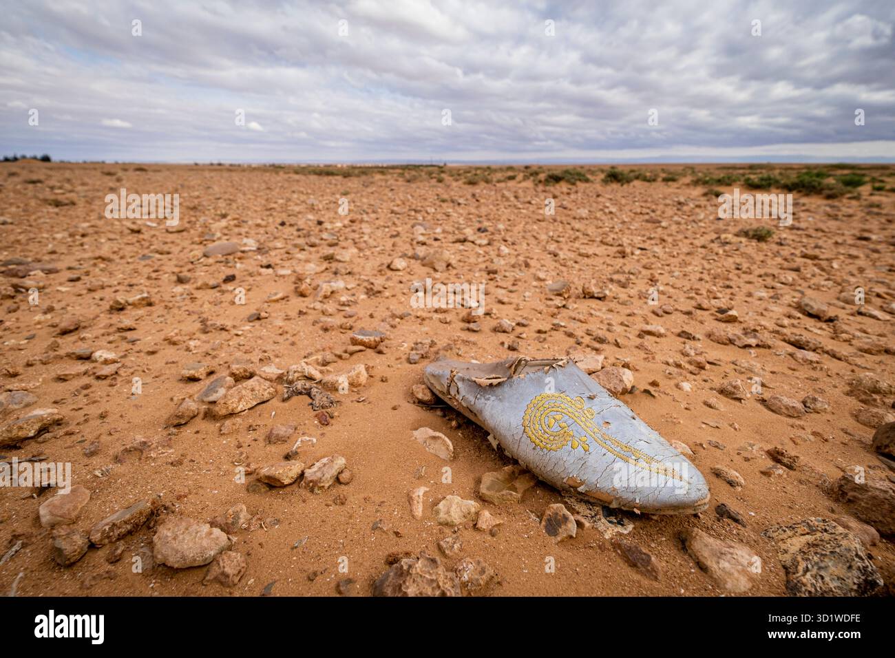 Maghreb espadrille perso nel deserto, la valle di Muluya. atlante medio. Marocco, Africa Foto Stock