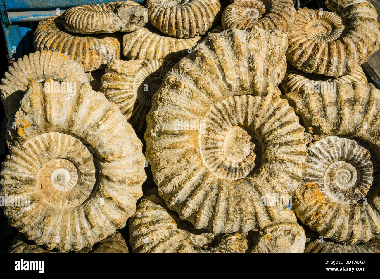 Attrezzi in vendita nel souk, Chefchauen, -Chauen-, Marocco, nord Africa, continente africano Foto Stock